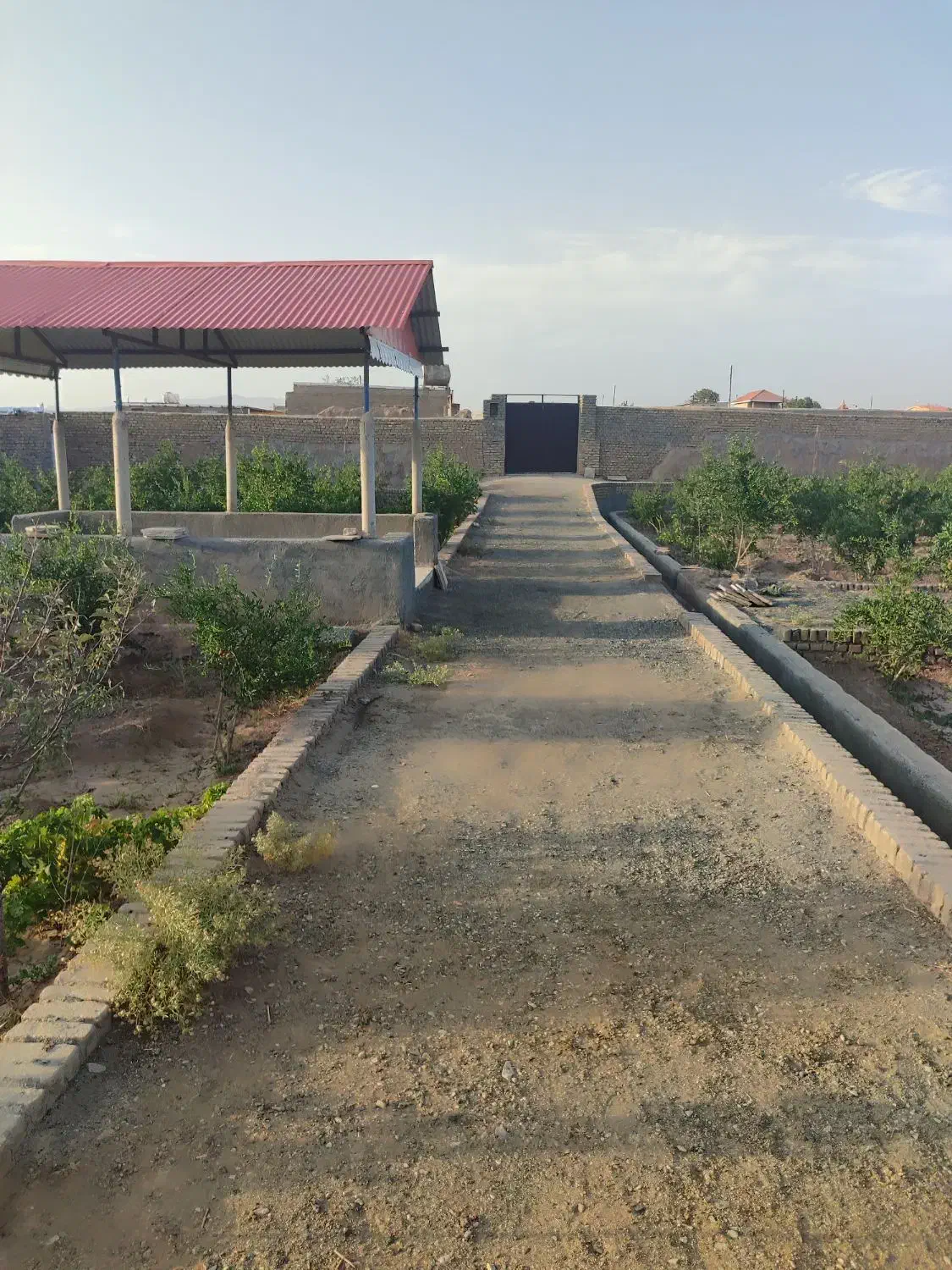 باغ اناری فروشی|فروش زمین و ملک کلنگی|سبزوار, خسروجرد|دیوار