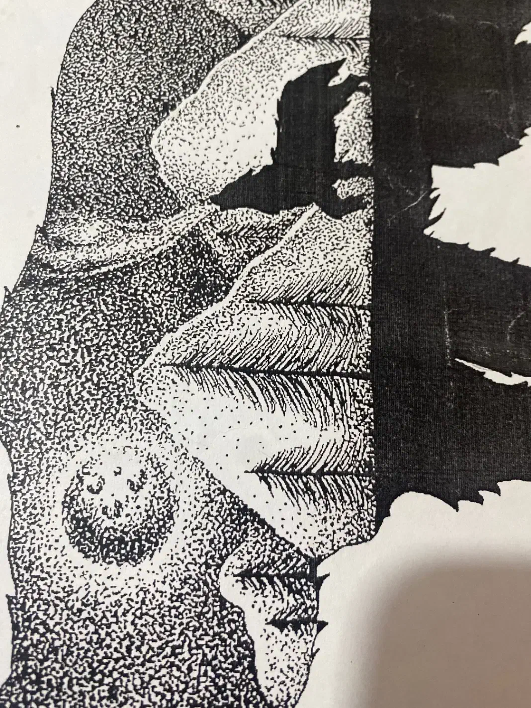 سرکتاب و‌دعا|کتاب و مجله مذهبی|ارومیه, |دیوار