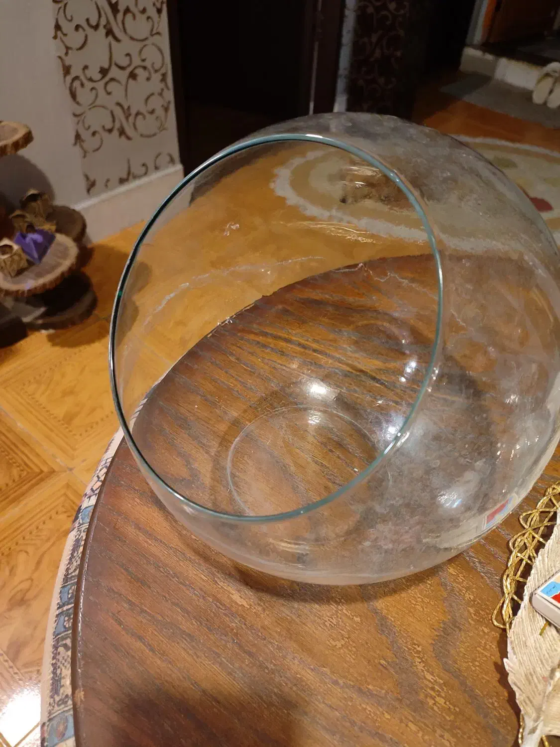 تراریوم کوچک|ماهی|صدرا-فارس, فاز ۱|دیوار