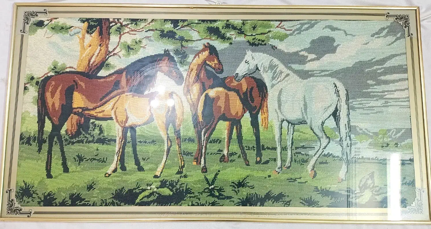 قاب دیواری|تابلو، نقاشی، عکس|بیرجند, |دیوار