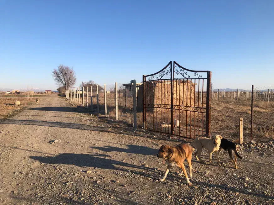 زمین ۲ بر زراعی کشاورزی گلخانه ای|فروش زمین و ملک کلنگی|نظرآباد, صالح آباد|دیوار