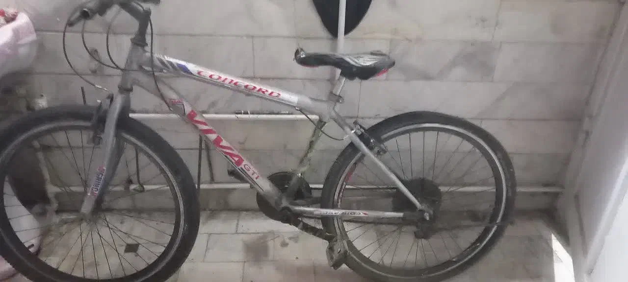 دوچرخه|دوچرخه، اسکیت، اسکوتر|قم, پامنار|دیوار