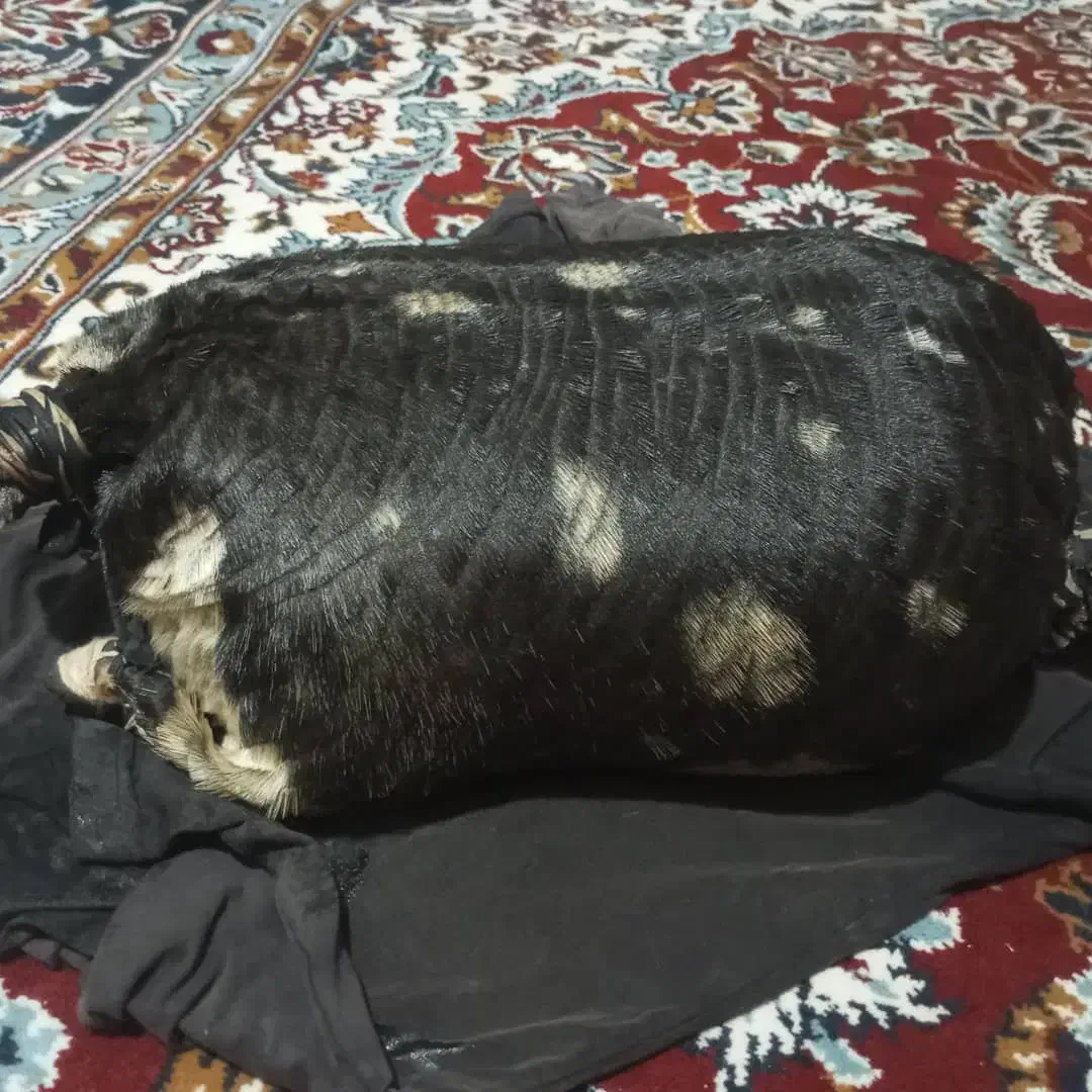 خیگ چهار انگله|ظروف سرو و پذیرایی|دزپارت, |دیوار