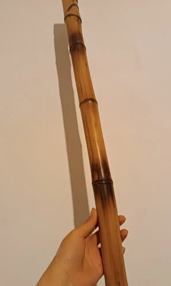 بامبو|صنایع دستی و سایر لوازم تزئینی|آزادشهر, |دیوار