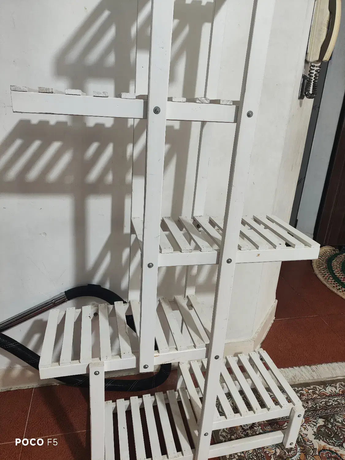 استند گل|گل و گیاه طبیعی|چمران, |دیوار