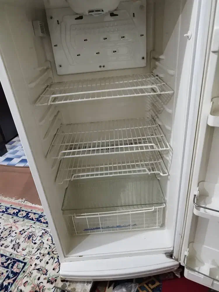 یخچال فریزر سایوان سری اول|یخچال و فریزر|شیراز, تندگویان|دیوار