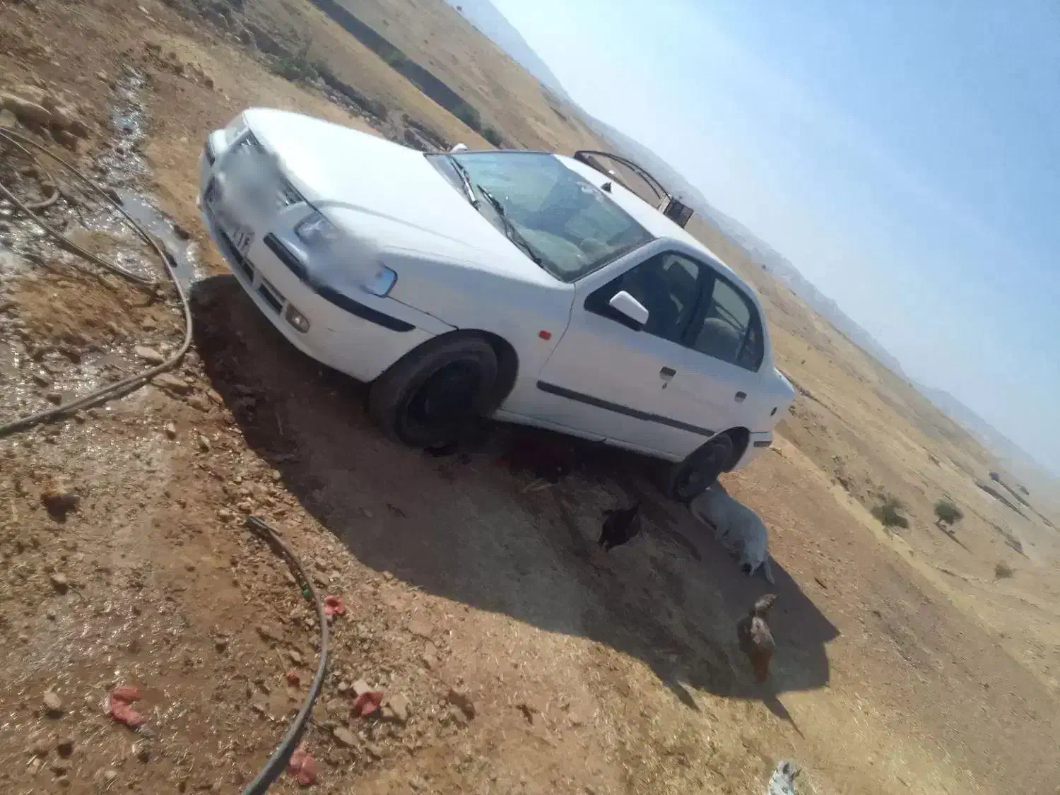 سمند ۸۷ دوگانه فابریک|خودرو سواری و وانت|لالی, |دیوار