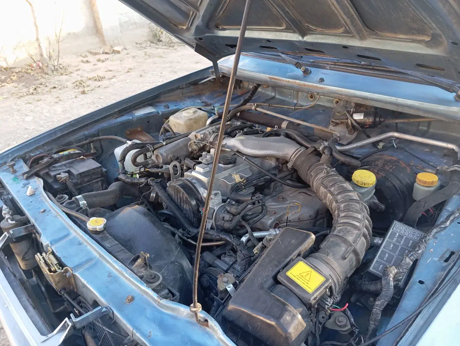 مزدا وانت|خودرو سواری و وانت|گلی داغ, |دیوار