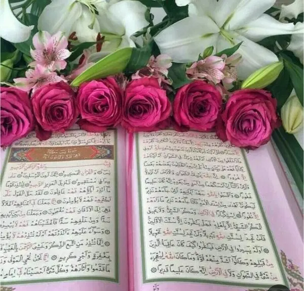 کتاب د عا|کتاب و مجله مذهبی|تهران, هفت حوض|دیوار