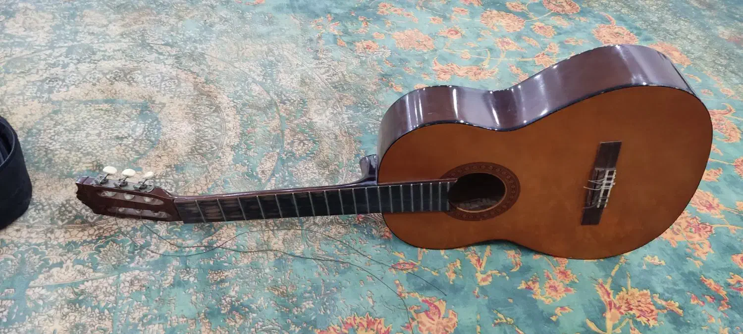 گیتار|گیتار، بیس، امپلیفایر|بوشهر, |دیوار