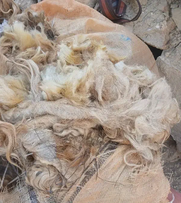 پشم|رختخواب، بالش، پتو|مسجد سلیمان, |دیوار