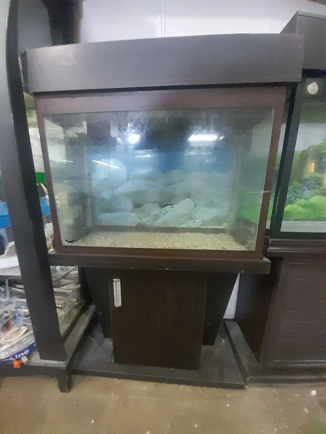 آکواریوم|ماهی|محمدشهر, جعفرآباد|دیوار