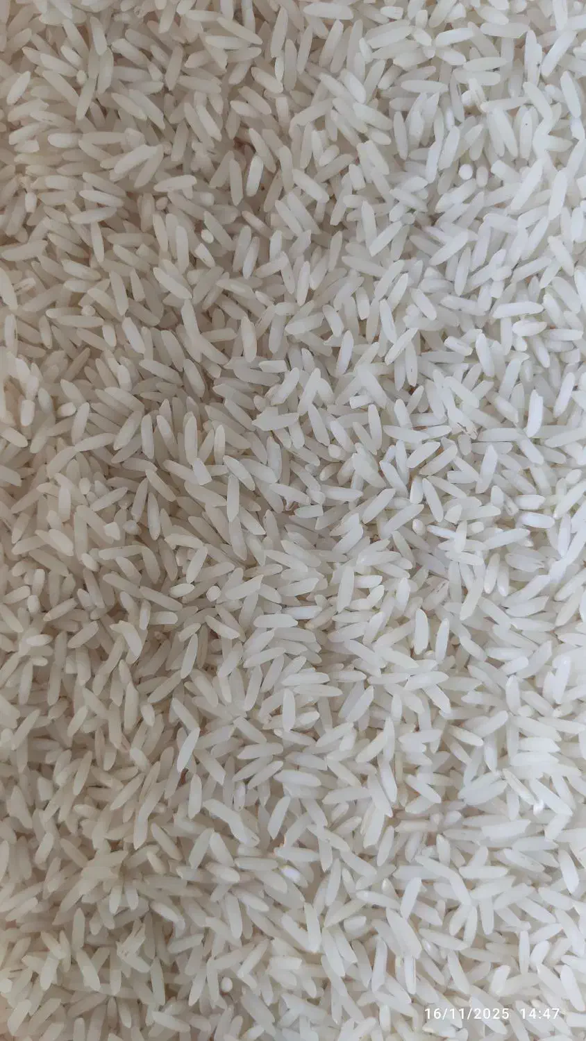 فروش برنج طارم هاشمی قیمت توافقی|خوردنی و آشامیدنی|قائم‌شهر, |دیوار