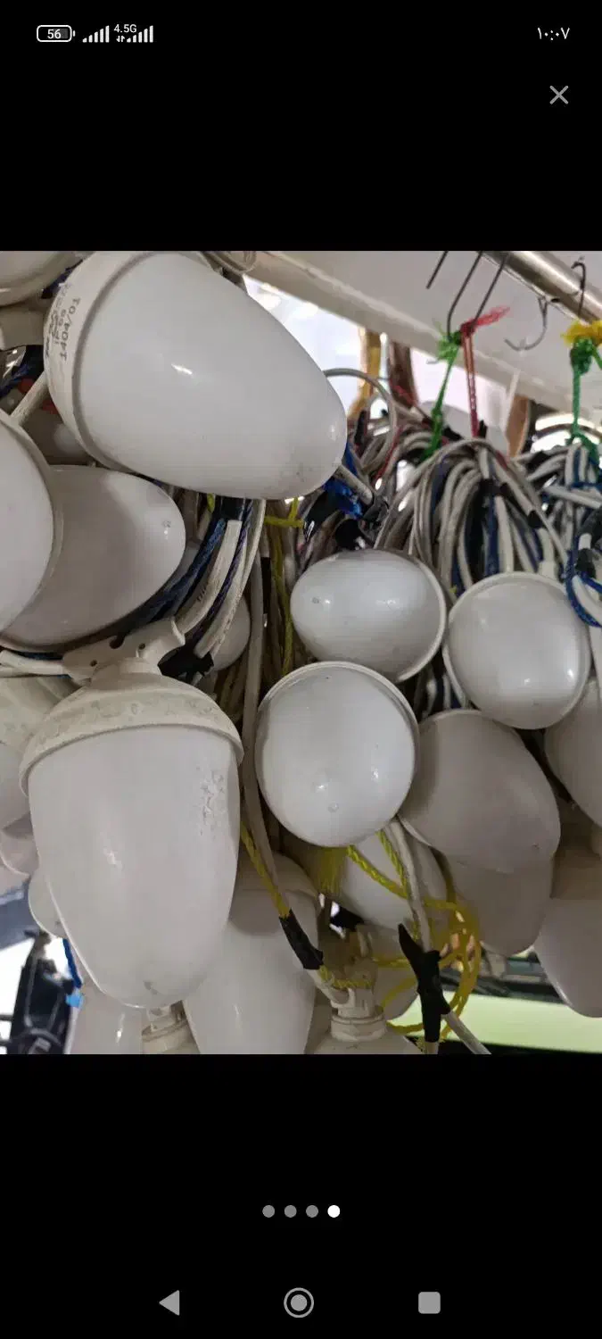 اجاره ریسه .. پرژکتور|ریسه و چراغ تزئینی|نسیم‌شهر, |دیوار