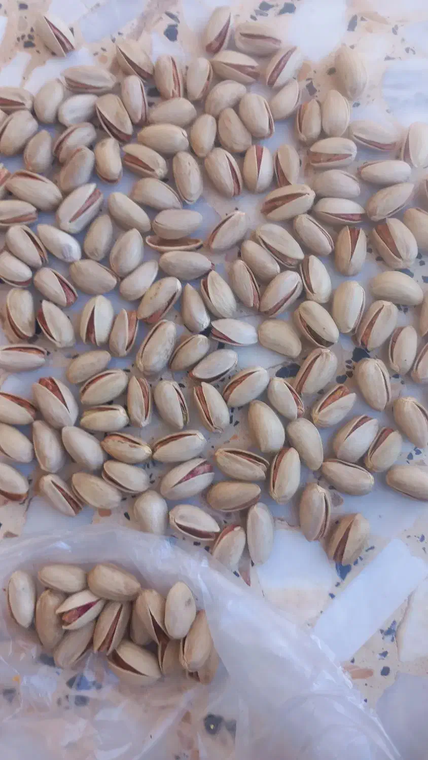 پسته فروشی درجه یک|خوردنی و آشامیدنی|کویرات, |دیوار