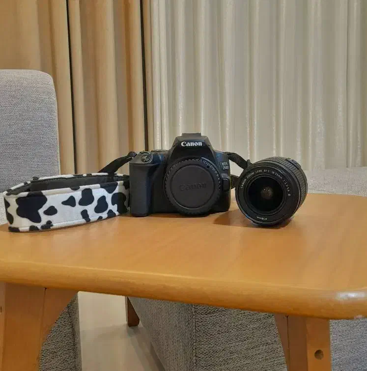 دوربین Canon 250D|دوربین عکاسی و فیلمبرداری|مشهد, تربیت (صدف)|دیوار