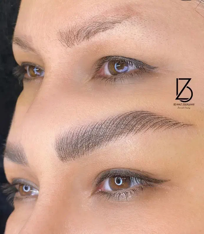 پذیرای مدل میکروبلیدینگ ابرو،شید چشم و لب ،رایگان|خدمات آرایشگری و زیبایی|تهران, شهرک ولیعصر شمالی|دیوار