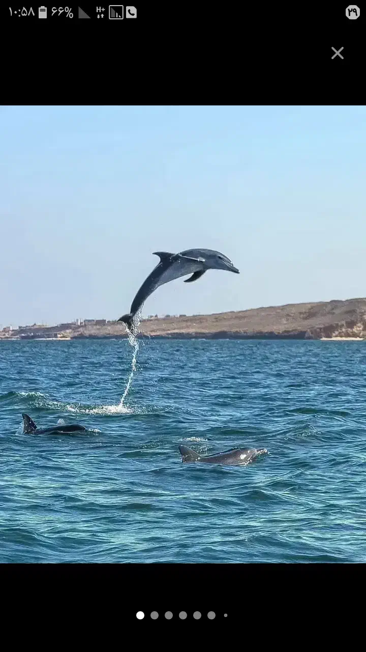 گشت جزیره با لیدر بومی|تور و چارتر|قشم, |دیوار