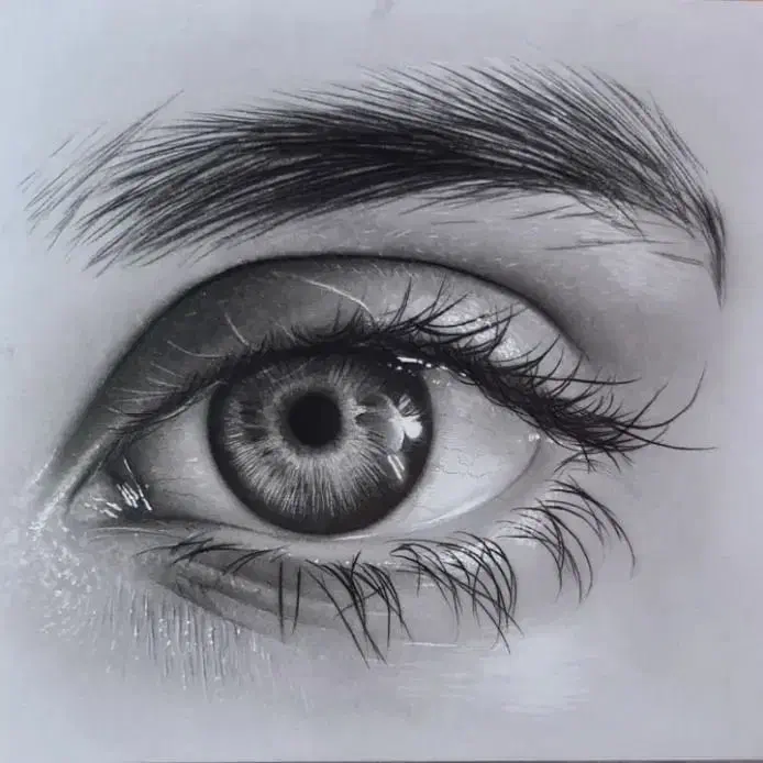 نقاشی از مبتدی تا حرفه ای|خدمات آموزشی|گرگان, |دیوار