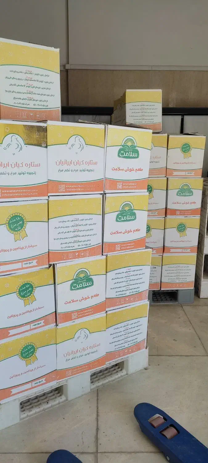 پخش و توزیع تخم مرغ|خوردنی و آشامیدنی|مشهد, گلبرگ شمالی|دیوار