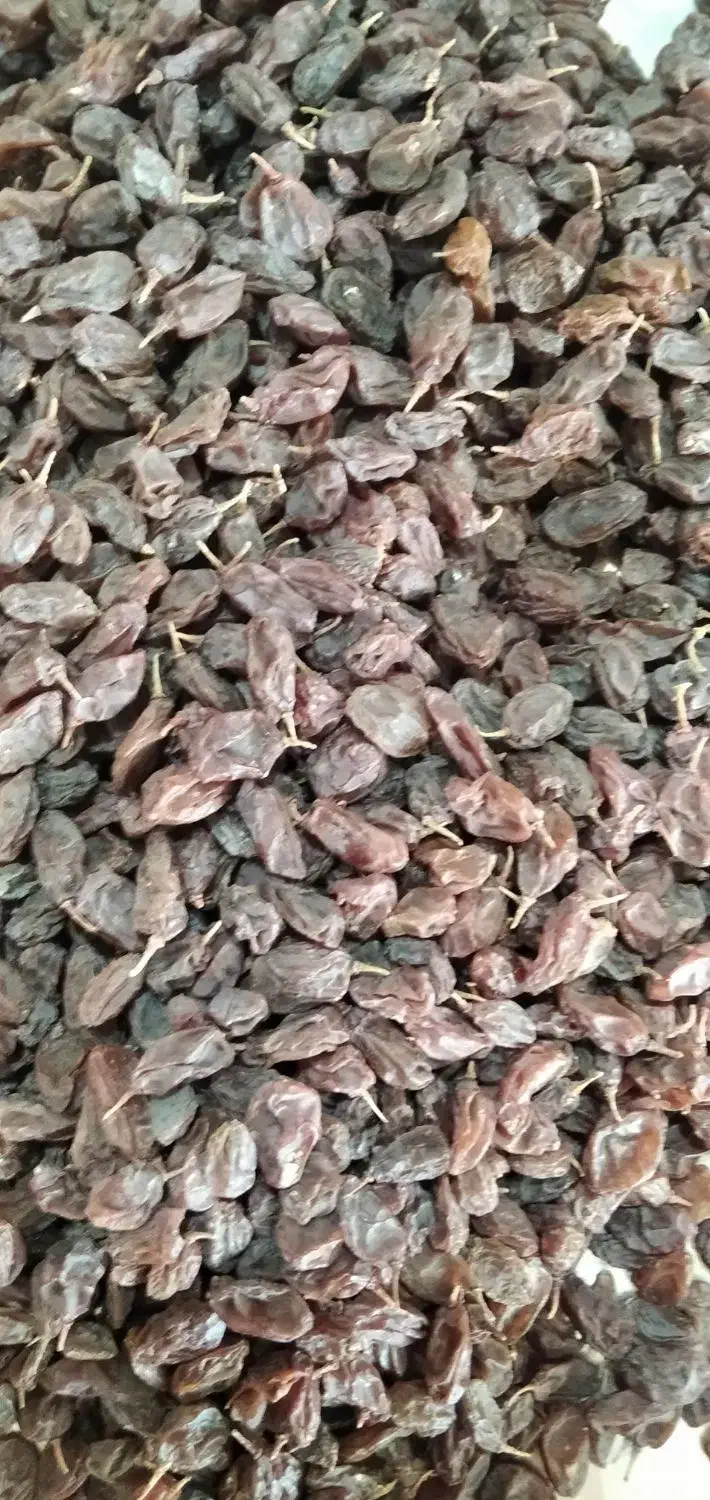 کشمش آفتابی|خوردنی و آشامیدنی|شهرکرد, |دیوار