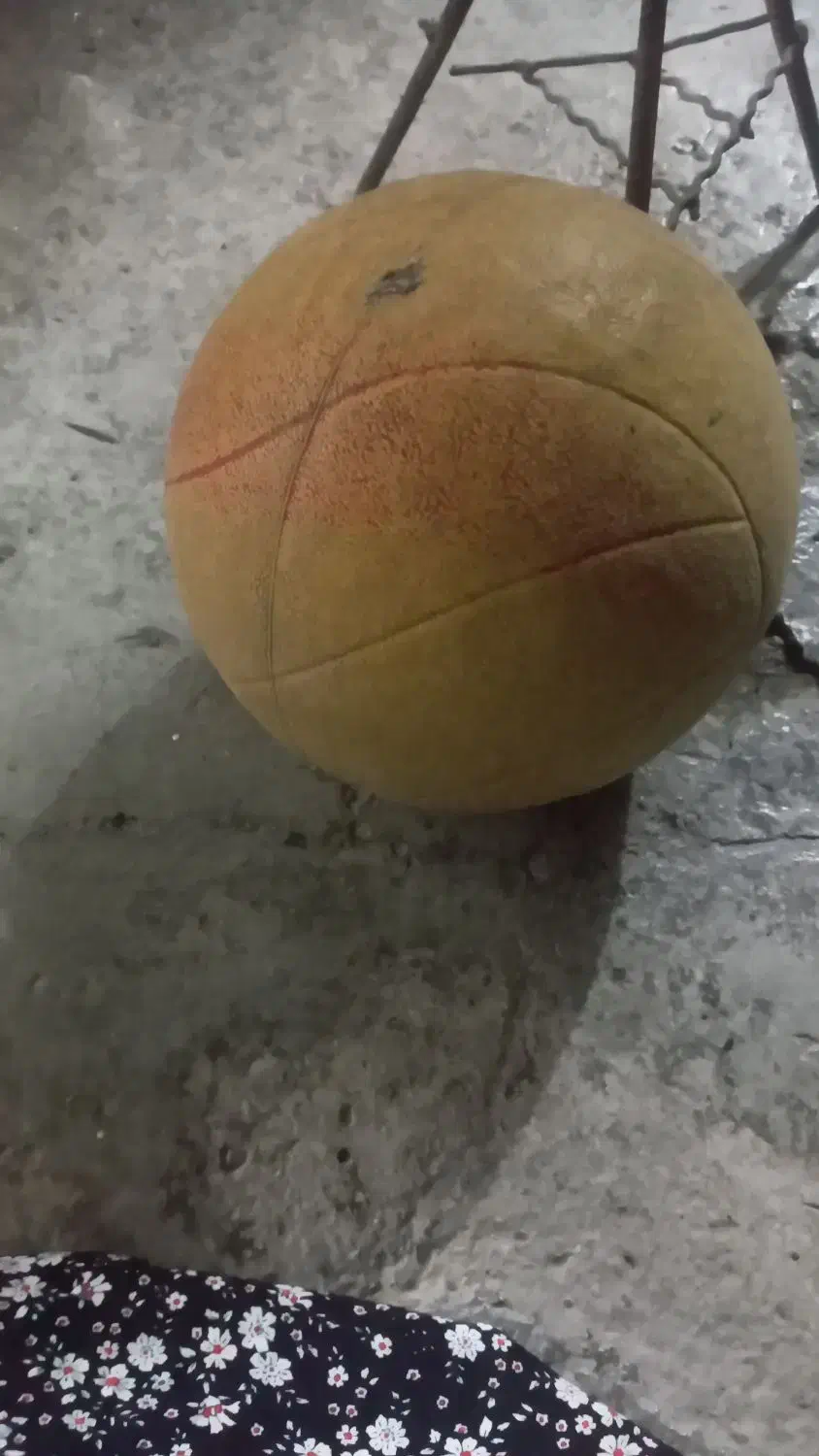 دوعددتوپ سالم دانی ۱۵۰هزار|اسباببازی|جوانرود, |دیوار