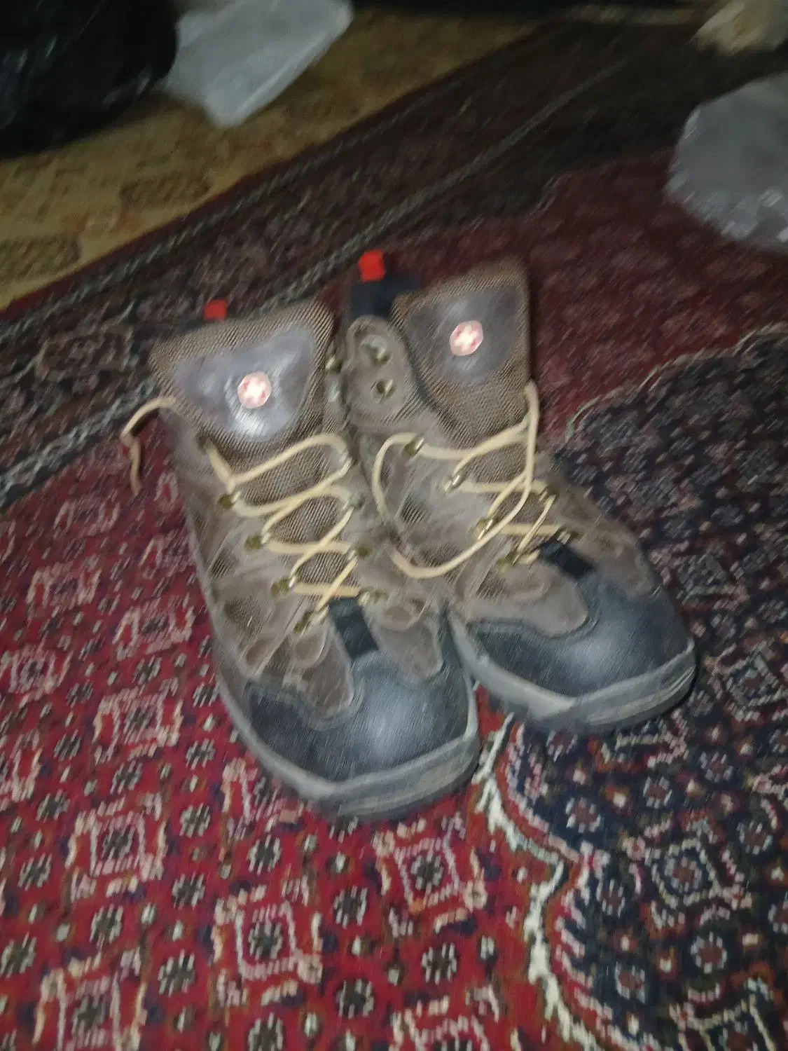 فروش فوری بدون وقفه|کیف، کفش، کمربند|سنندج, |دیوار