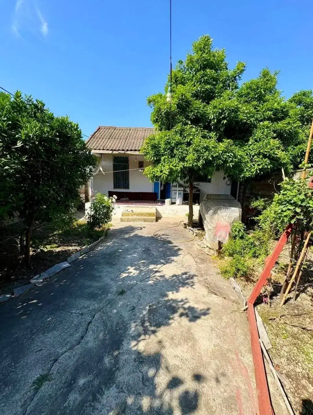 خونه باغ روستایی/دارای سندتک برگ عرصه و عیان|فروش خانه و ویلا|دابودشت, |دیوار