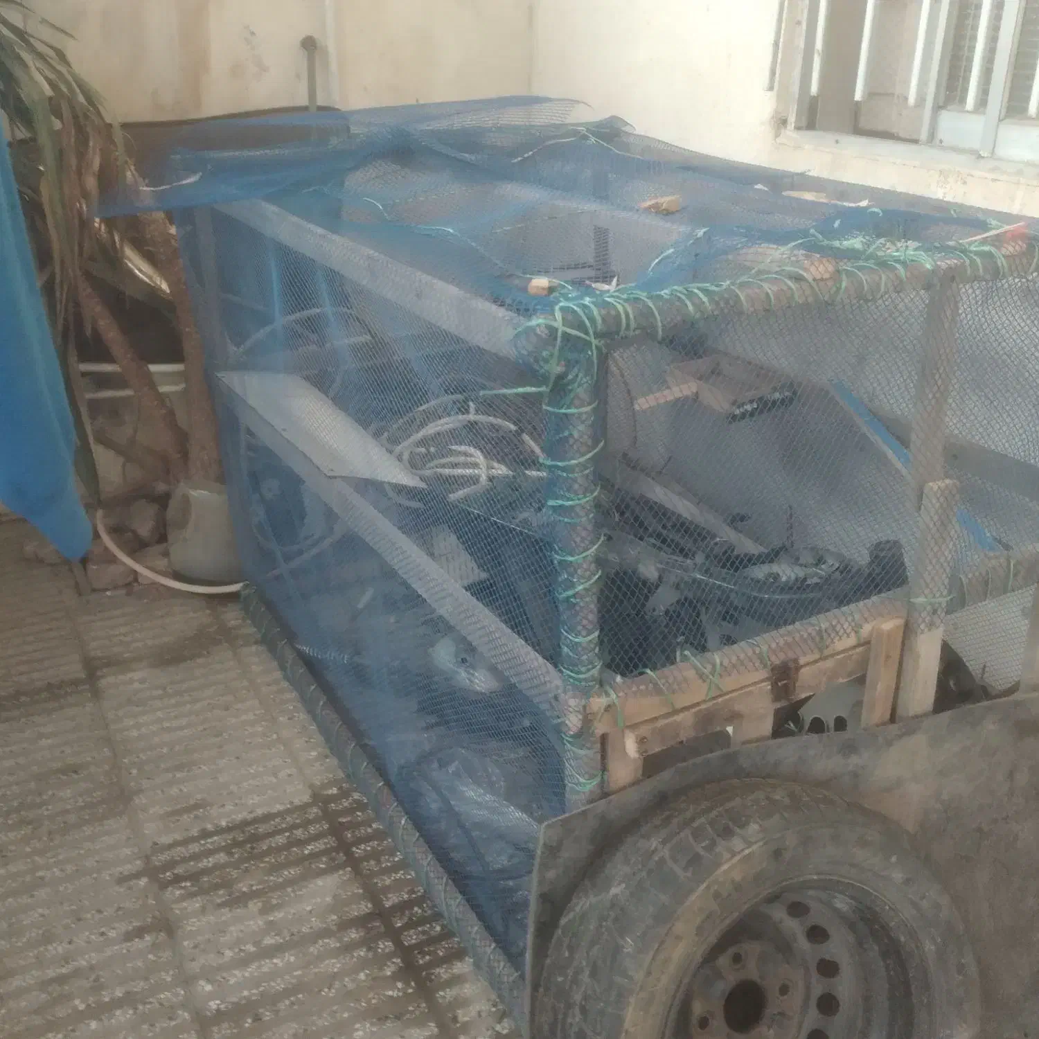 ققس چوبی|لوازم جانبی حیوانات|خان ببین, |دیوار