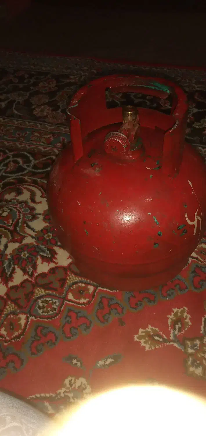 پکنک سالم  سالمی|اجاق گاز و لوازم برقی پخت‌وپز|نظرآباد, نظرآباد|دیوار