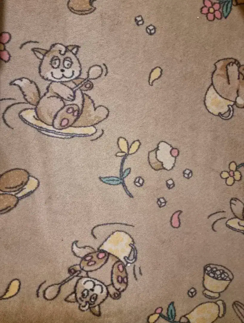 موکت پالاز|موکت|اصفهان, آبشار|دیوار