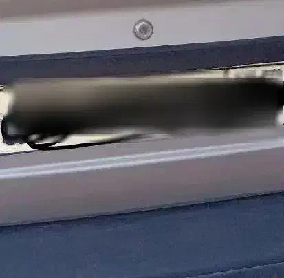 ماشین تمیز تمام رنگ|خودرو سواری و وانت|تایباد, |دیوار