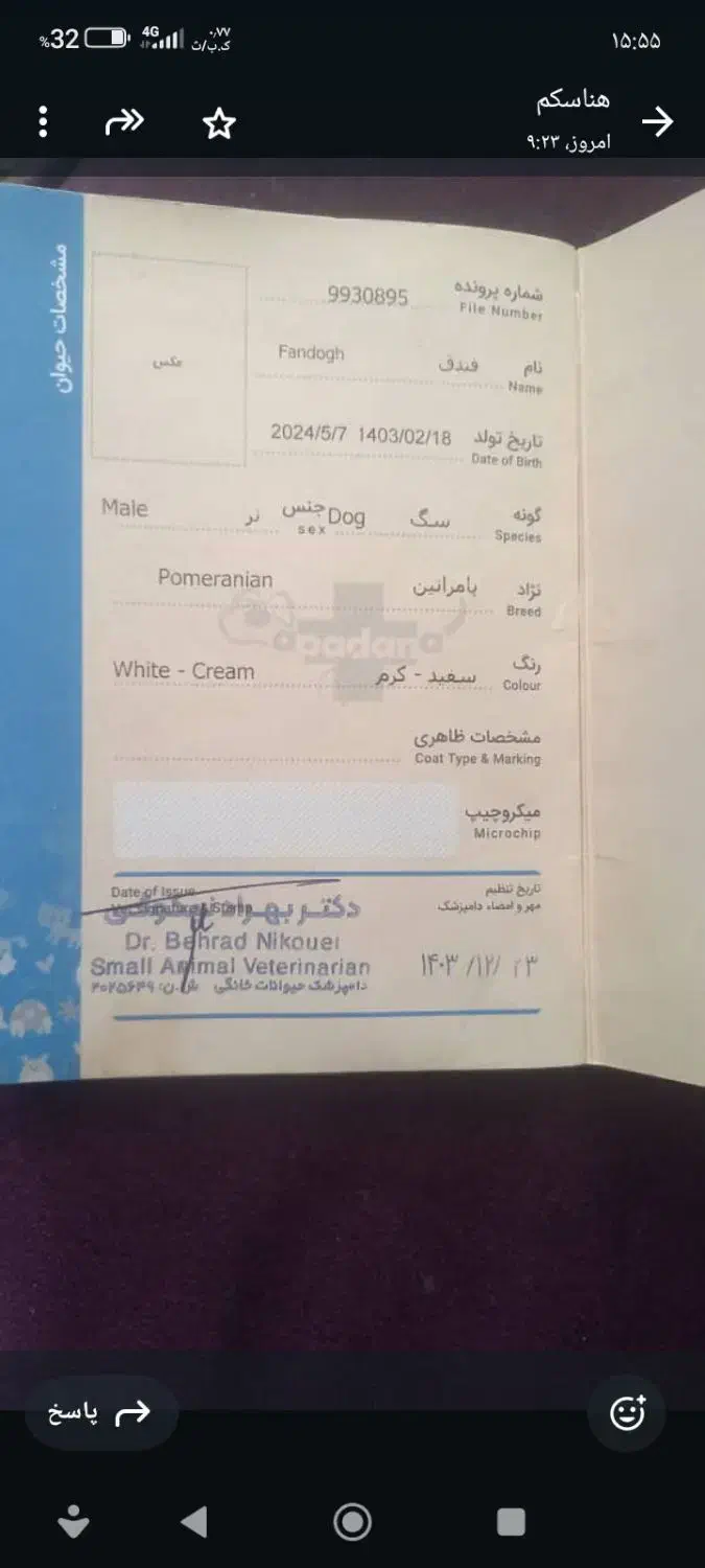 فروش سگ آپارتمانی.|سگ|شاهین‌شهر, طالقانی|دیوار