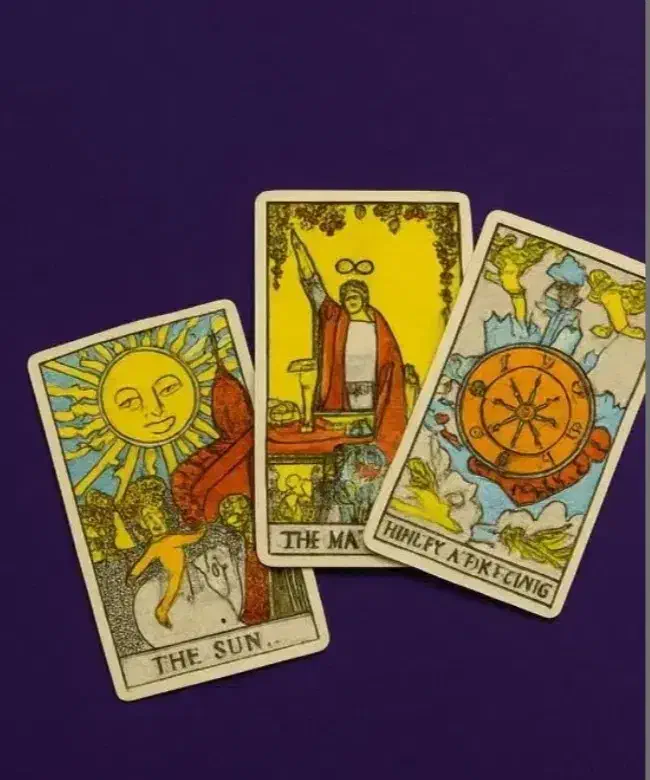 200 داوطلبانه فال|فعالیت داوطلبانه|بوشهر, |دیوار