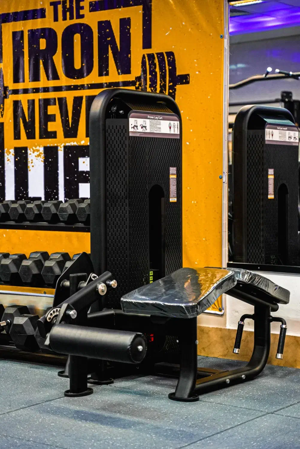 تجهیز باشگاه بدنسازی(سیم کش و وزنه آزاد و هوازی)|تجهیزات ورزشی|رباط‌کریم, رباط‌کریم|دیوار