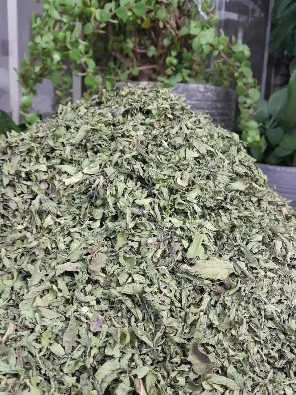 محصولات خانگی|خوردنی و آشامیدنی|بهاباد, |دیوار