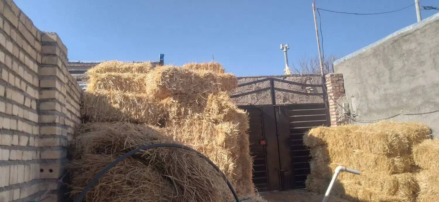 ۱۷۰عددپرس گندم.۱۲۰ تومن.خودم خریده بودم.تغییر شغل|لوازم جانبی حیوانات|مهربان, |دیوار