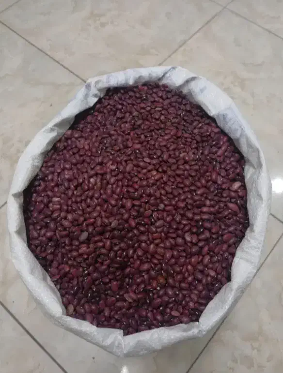 لوبیا|خوردنی و آشامیدنی|قروه, |دیوار