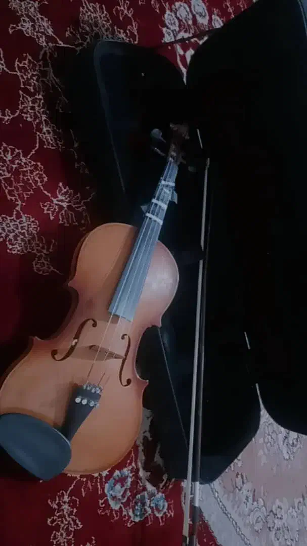 ویولن‌ همچیز سالم|ویولن|آباده, |دیوار