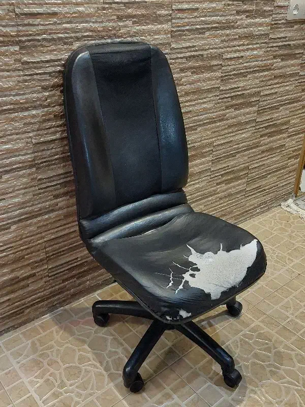 صندلی|صندلی و نیمکت|شیراز, کوشک میدان|دیوار