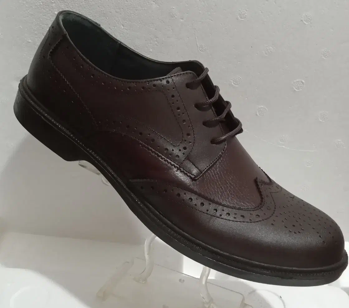 کفش مردانه....بزرگ پا|کیف، کفش، کمربند|بندر انزلی, معلم|دیوار