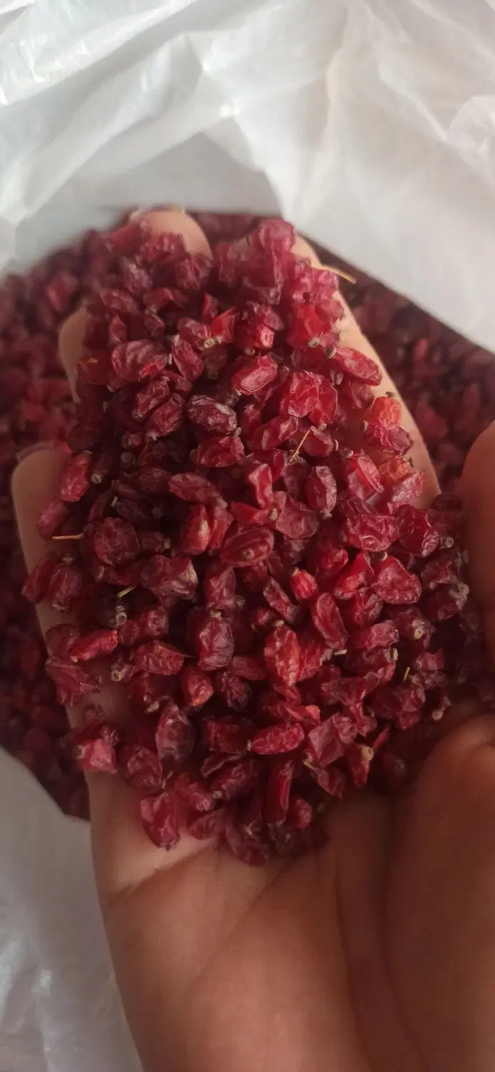 زرشک|خوردنی و آشامیدنی|مشهد, هفت تیر (حافظ)|دیوار