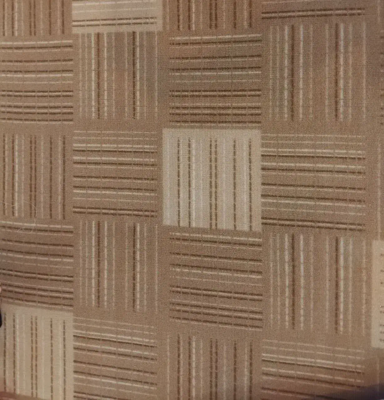 پالاز موکت|موکت|آبدانان, |دیوار