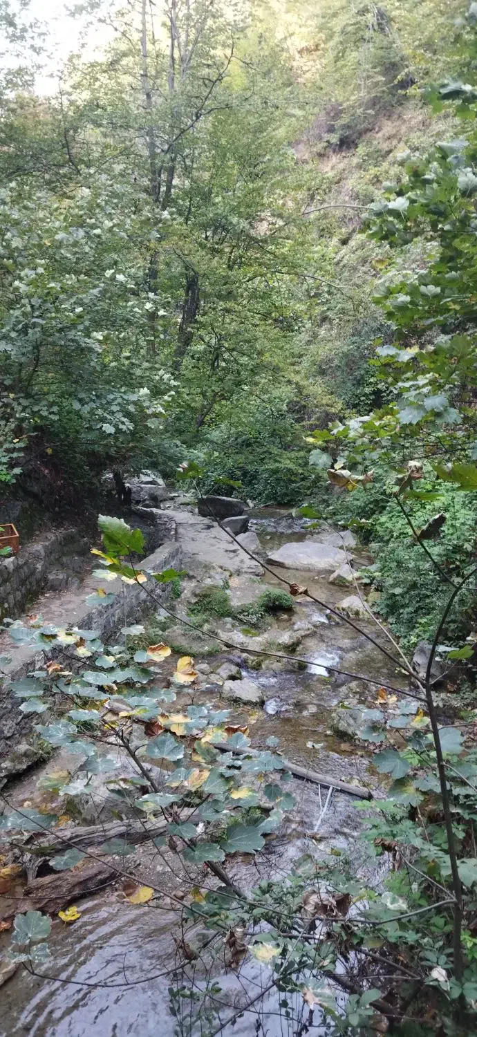 راهنمایی شغل|فعالیت داوطلبانه|مشهد, الهیه|دیوار