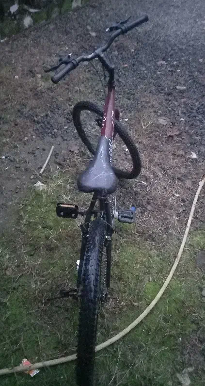 دوچرخه دسته دو سایز ۲۴|دوچرخه، اسکیت، اسکوتر|چوبر, |دیوار