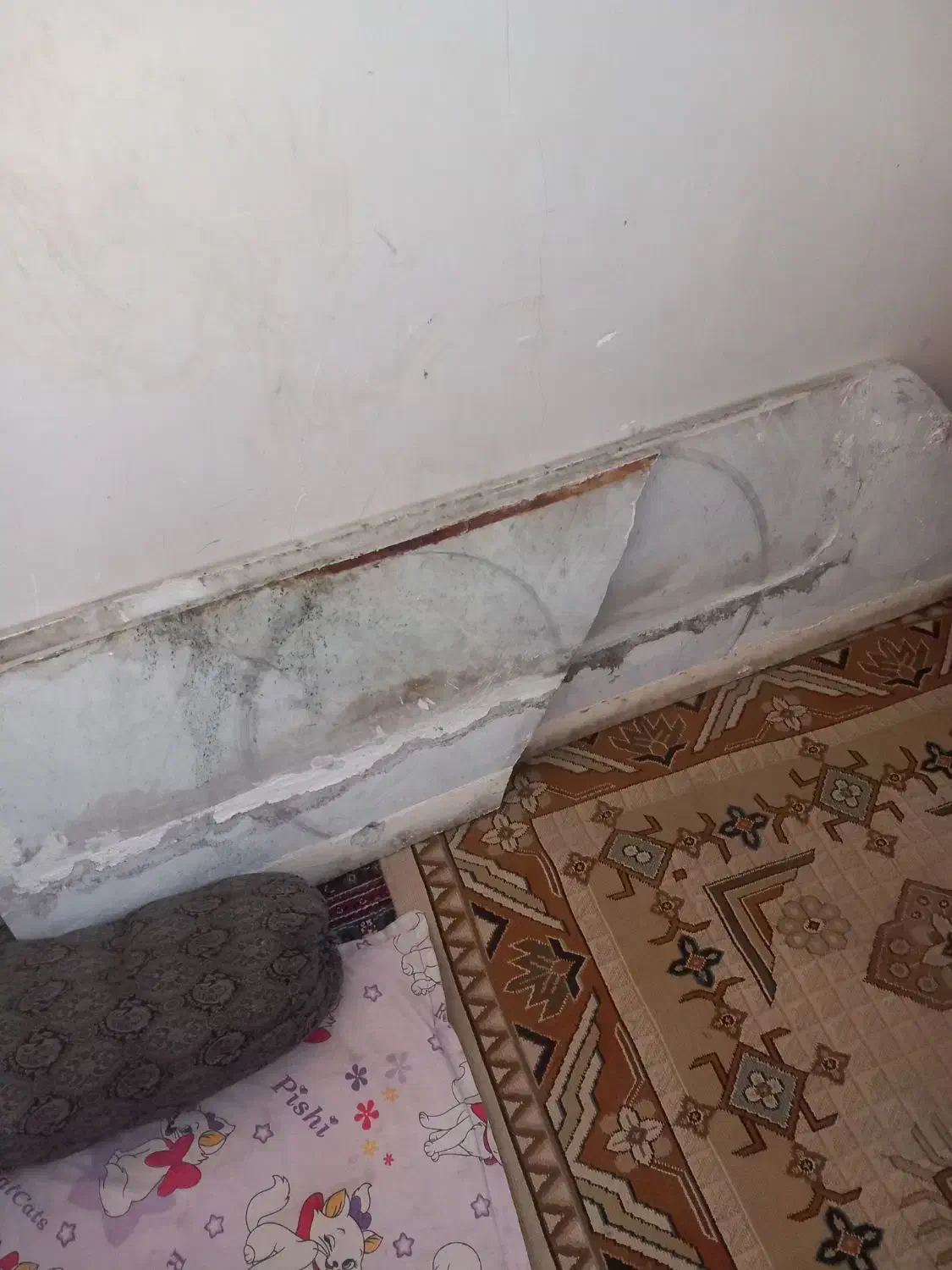 میزه کار و ویترین و غیره|خدمات پیشه و مهارت|نیشابور, شهید بهشتی|دیوار