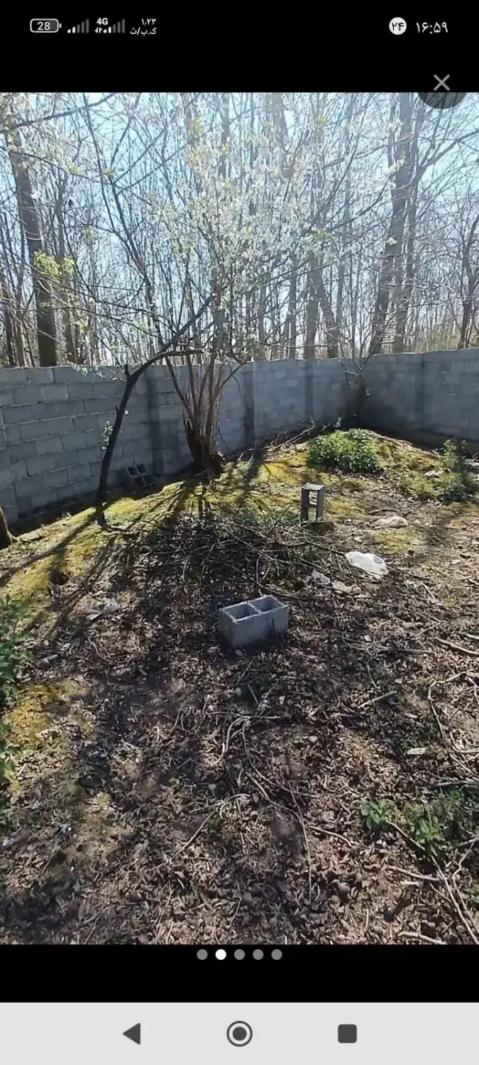 فروش زمین مسکونی ۲۸۱ متر در ضیابر ( شفقت محله)|فروش زمین و ملک کلنگی|ضیابر, |دیوار