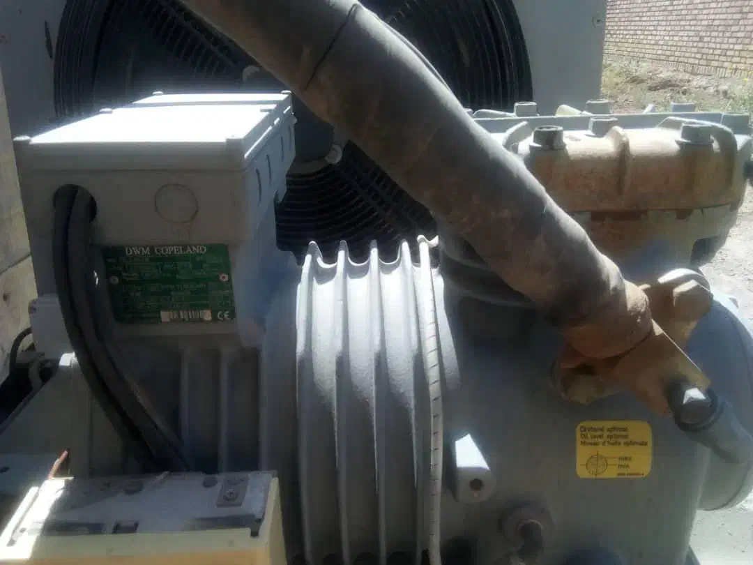 سردخانه زیر صفر|ماشین‌آلات صنعتی|بم, |دیوار