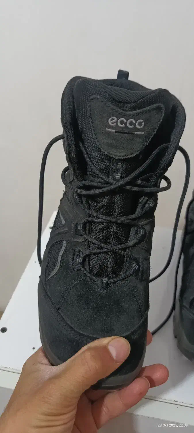 کفش اکو سایز ۴۲ ویتنام اورجینال|کیف، کفش، کمربند|یاسوج, |دیوار