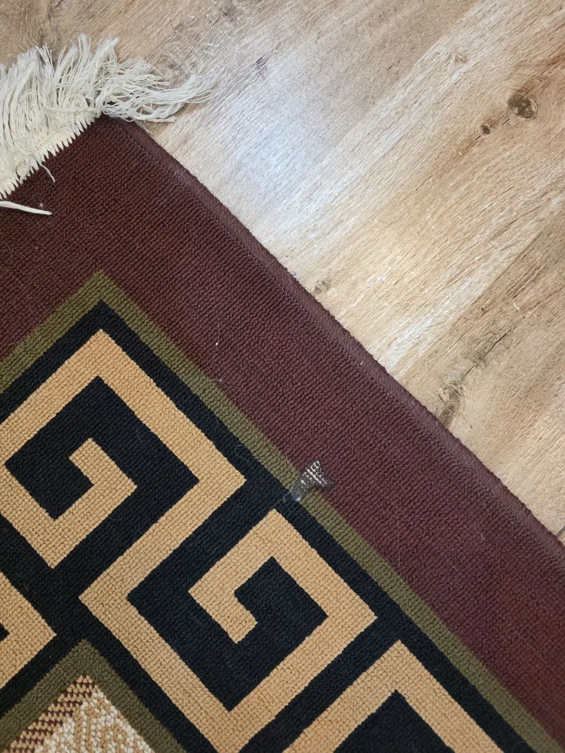 قالی گلیمی|گلیم، جاجیم، گبه|شیراز, شهرک سراج‎|دیوار